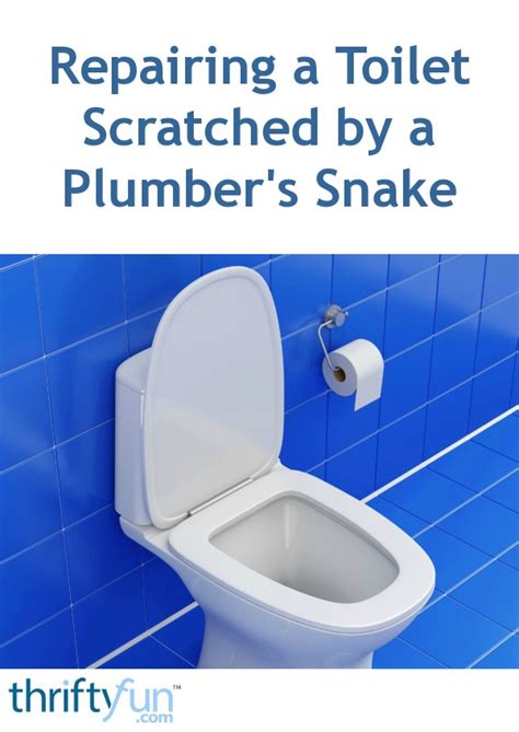 i scratched my toilet bowl|toilet bowl scratched by snake.